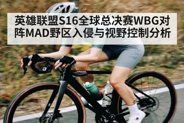 英雄联盟S16全球总决赛WBG对阵MAD野区入侵与视野控制分析